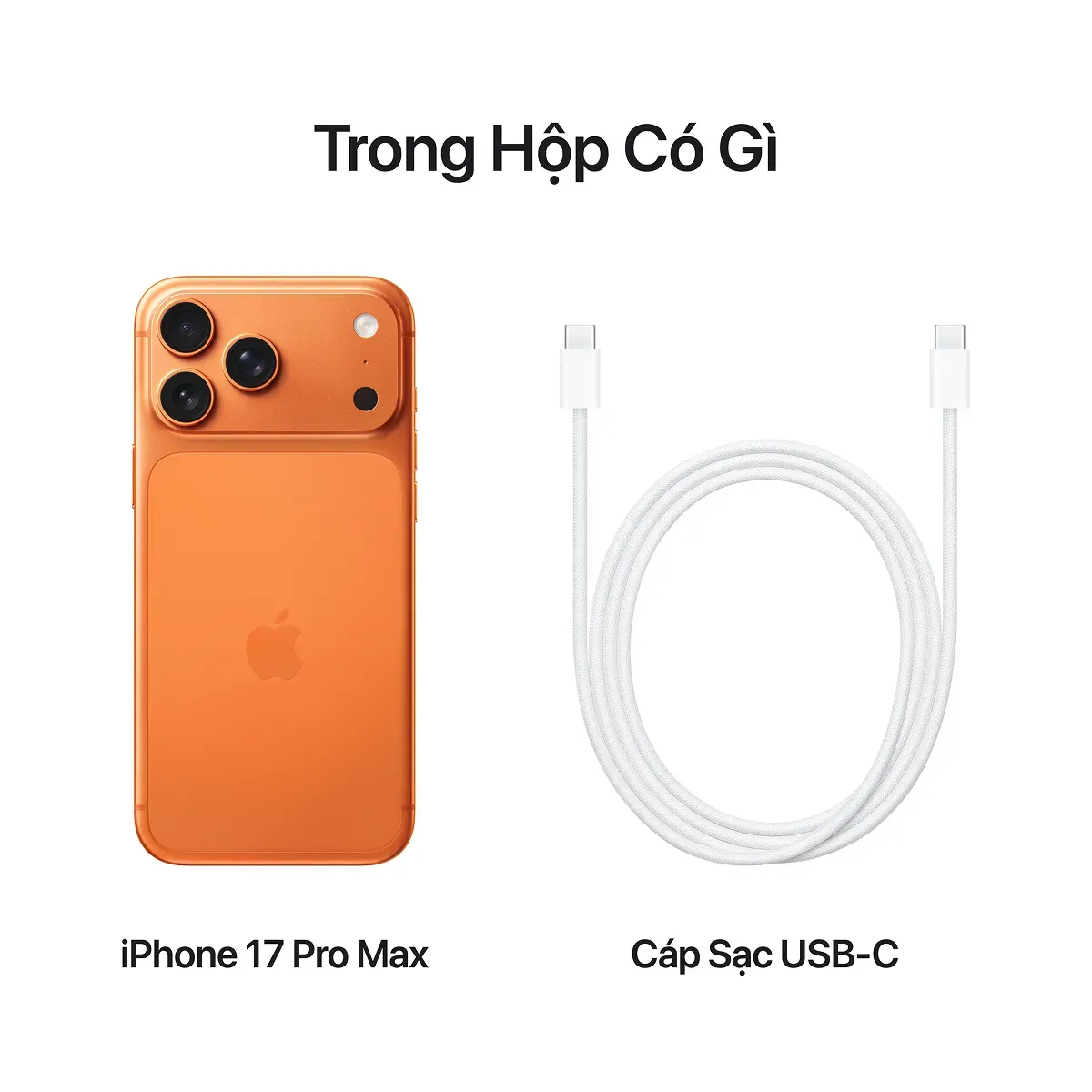 IPhone 17 Pro Max Chính Hãng Apple | Giá Tốt, Trả Góp 0% IPhone 17 Pro Max Chính Hãng Apple | Giá Tốt, Trả Góp 0%